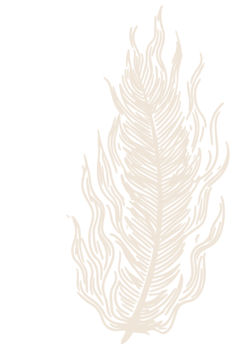 PHOENIX_LOGO_ASSETS-41_feather_1_2