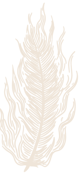 PHOENIX_LOGO_ASSETS-41_feather_1_2_1_0e59dfa3-834a-4739-b902-7c6811aa3633