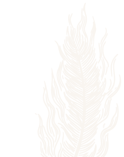 PHOENIX_LOGO_ASSETS-41_feather_1_2_6a5d1b9e-9453-47a8-9b71-a8a09c4fcfcc