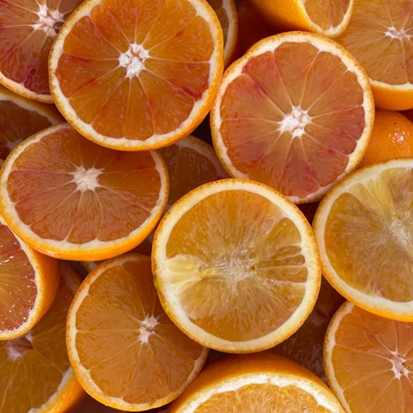 Sliced blood oranges