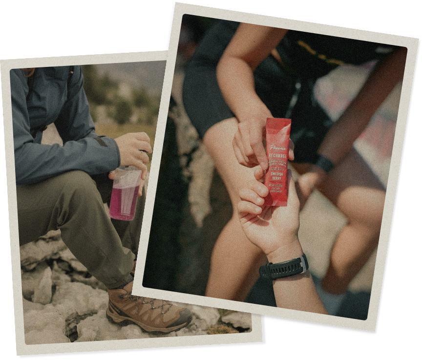 phoenix-recovery-questions